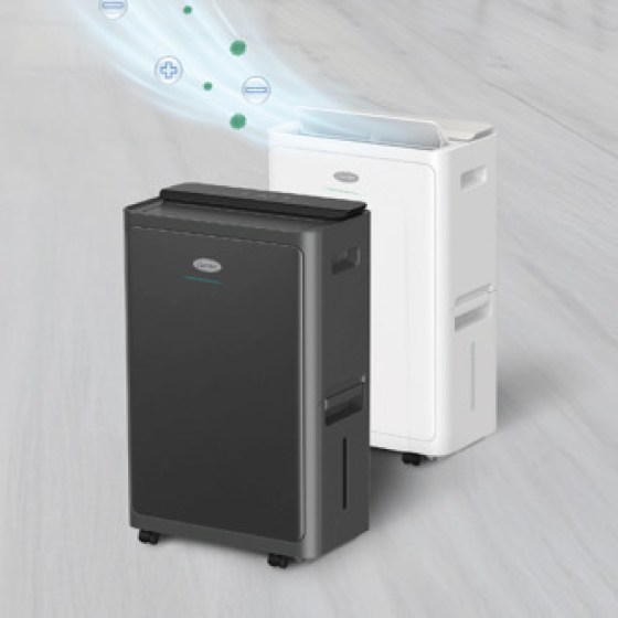 20250214114729_fa3ac00b