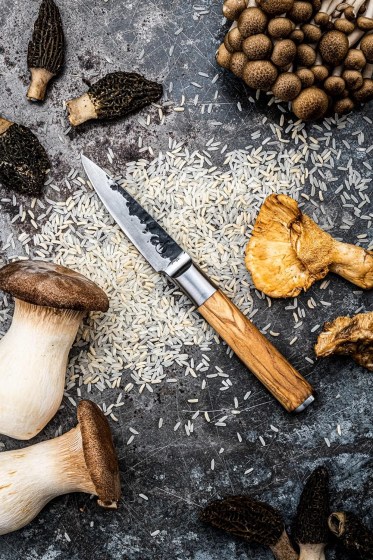 91Yi9JXEp+S._AC_SL1500_