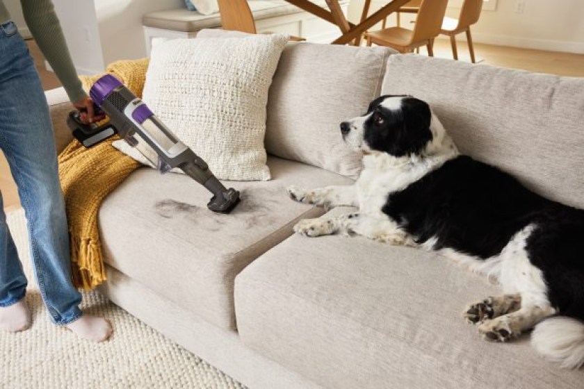 R_IP3251UKT_InUse_LivingRoom_AboveFloor_PetMultiTool_Woman_Dog-600x400