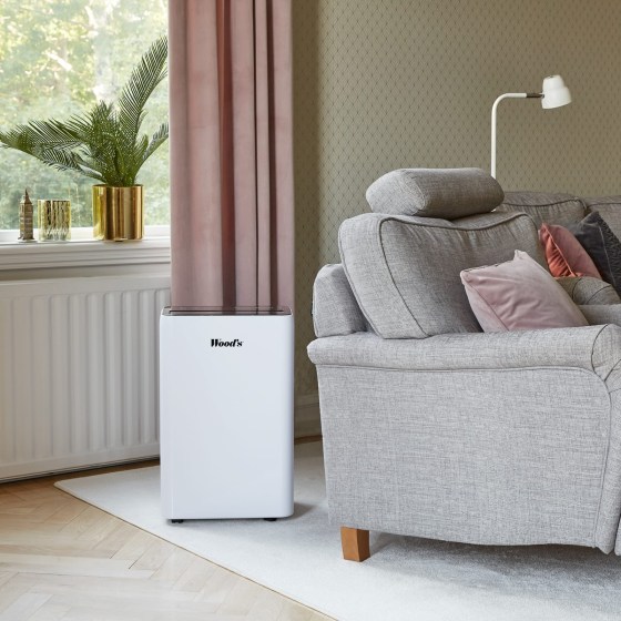 woods_mrd2025_environmental_a_low